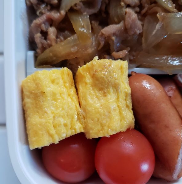 No.234：玉子焼きがささくれはじめたきが買い替えどき｜2025年6月9日｜苦痛な男子高校生弁当日記