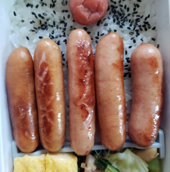 No.240：しくじった｜2025年6月17日｜苦痛な男子高校生弁当日記