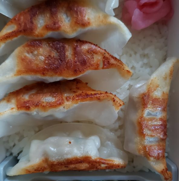 No.274：深夜に1枚食べた罪悪感｜2025年8月29日｜苦痛な男子高校生弁当日記