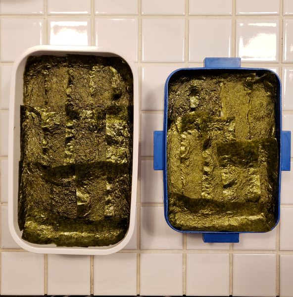 No.314：カナブンみたいな色の海苔が安かった｜2025年11月5日｜苦痛な男子高校生弁当日記