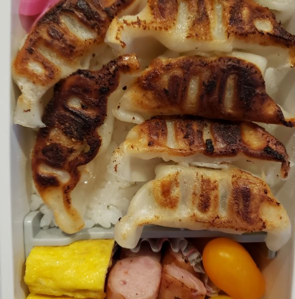 No.343：そういうときは砂を撒くんです｜2025年12月20日｜苦痛な男子高校生弁当日記