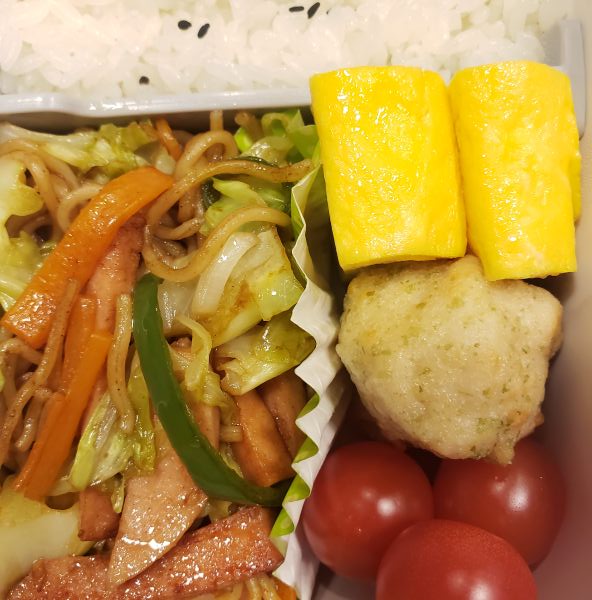 No.353：某EMSトレーニングベルト｜2026年1月19日｜苦痛な男子高校生弁当日記