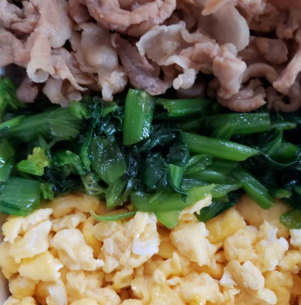 No.388：F/ACE②｜2026年3月28日｜苦痛な男子高校生弁当日記