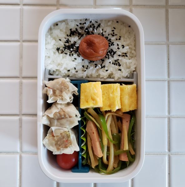 No.391：マイルール｜2026年4月9日｜苦痛な男子高校生弁当日記