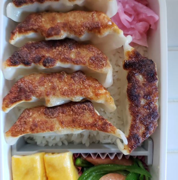 No.395：約15年間思い続けていること｜2026年4月14日｜苦痛な男子高校生弁当日記