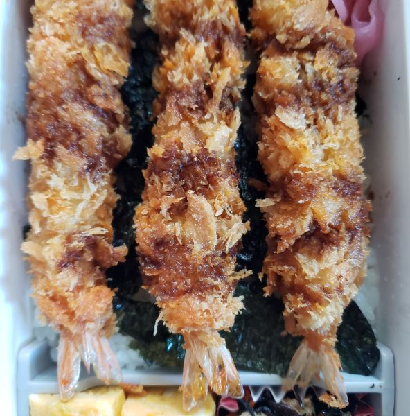 No.397：ぽこあポケモン｜2026年4月16日｜苦痛な男子高校生弁当日記