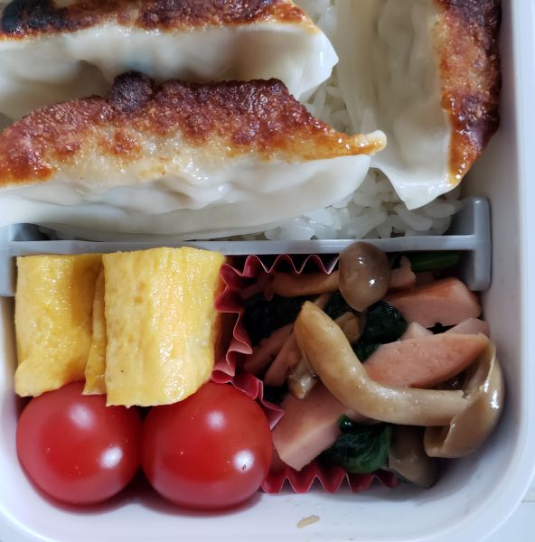 No.399：子どもの頃の記憶｜2026年4月18日｜苦痛な男子高校生弁当日記