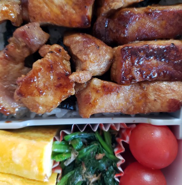 No.400：早起きの老犬｜2026年4月20日｜苦痛な男子高校生弁当日記