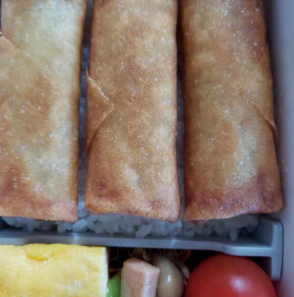 No.408：はなぐず｜2026年4月30日｜苦痛な男子高校生弁当日記