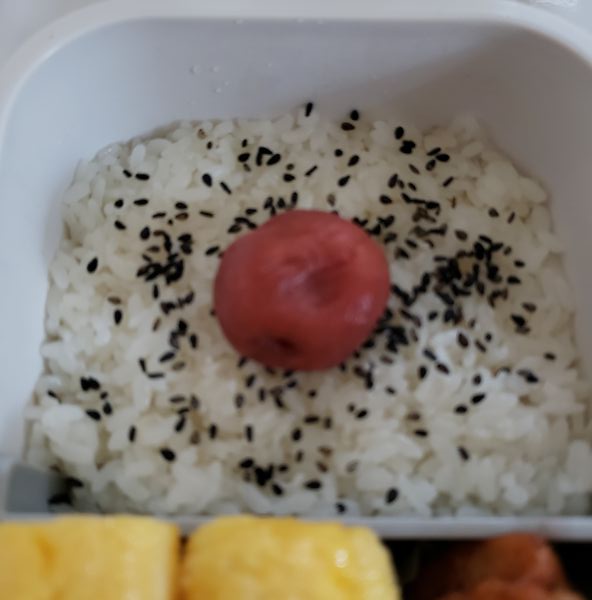 No.460：太ってきたから量を減らしてほしいとの申し出｜2026年8月25日｜苦痛な男子高校生弁当日記